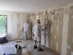 Best Comprehensive Air Testing for Mold Contaminants  in Camp Verde, AZ